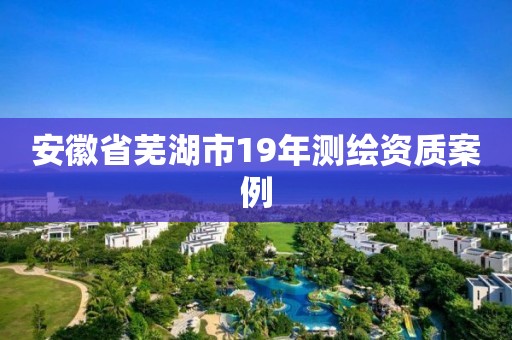 安徽省芜湖市19年测绘资质案例