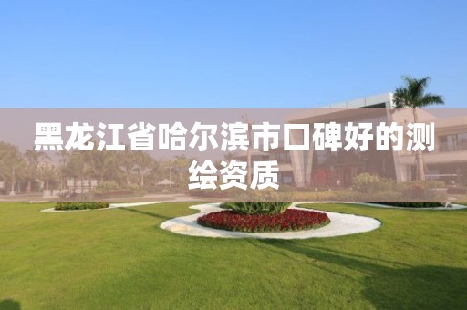 黑龙江省哈尔滨市口碑好的测绘资质