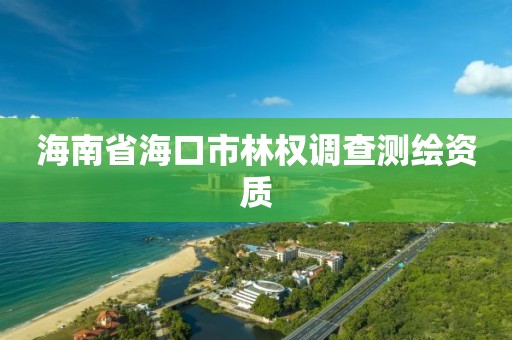 海南省海口市林权调查测绘资质