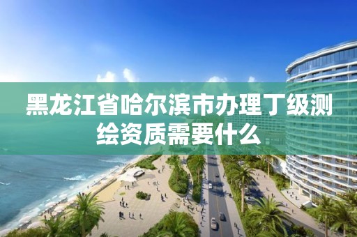 黑龙江省哈尔滨市办理丁级测绘资质需要什么