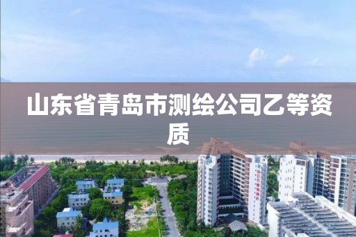 山东省青岛市测绘公司乙等资质