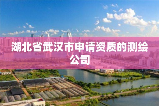 湖北省武汉市申请资质的测绘公司