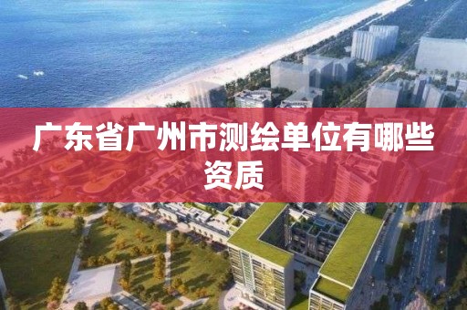 广东省广州市测绘单位有哪些资质