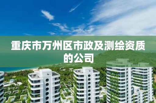 重庆市万州区市政及测绘资质的公司