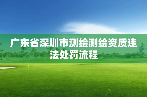 广东省深圳市测绘测绘资质违法处罚流程