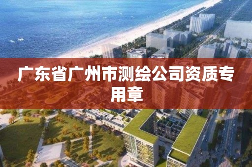 广东省广州市测绘公司资质专用章