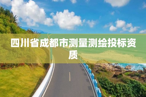 四川省成都市测量测绘投标资质