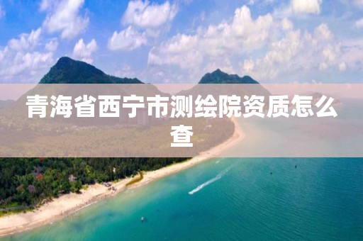 青海省西宁市测绘院资质怎么查