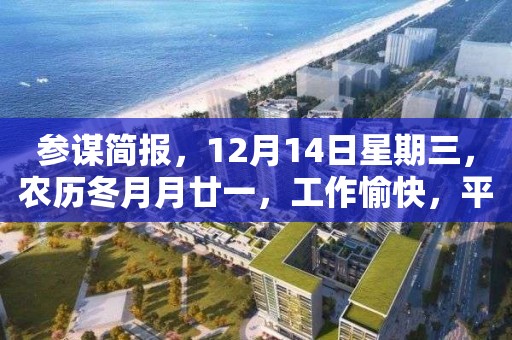 参谋简报，12月14日星期三，农历冬月月廿一，工作愉快，平安喜乐