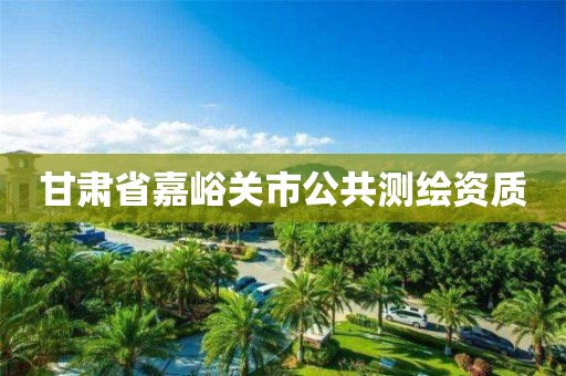 甘肃省嘉峪关市公共测绘资质