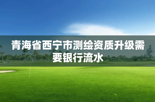 青海省西宁市测绘资质升级需要银行流水