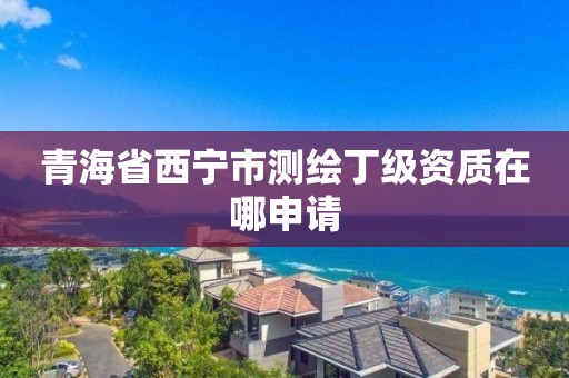 青海省西宁市测绘丁级资质在哪申请