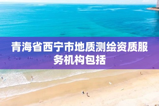 青海省西宁市地质测绘资质服务机构包括