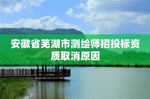 安徽省芜湖市测绘师招投标资质取消原因