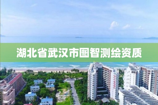 湖北省武汉市图智测绘资质