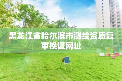 黑龙江省哈尔滨市测绘资质复审换证网址