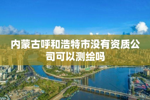 内蒙古呼和浩特市没有资质公司可以测绘吗