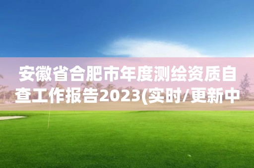 安徽省合肥市年度测绘资质自查工作报告2023(实时/更新中)