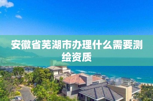 安徽省芜湖市办理什么需要测绘资质