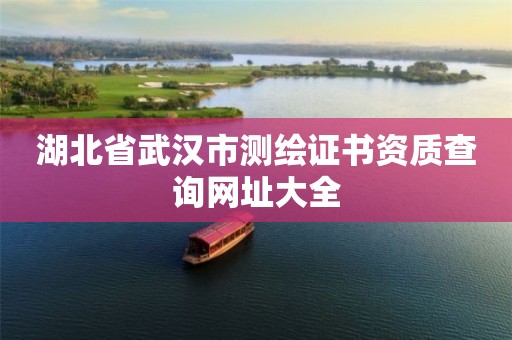 湖北省武汉市测绘证书资质查询网址大全