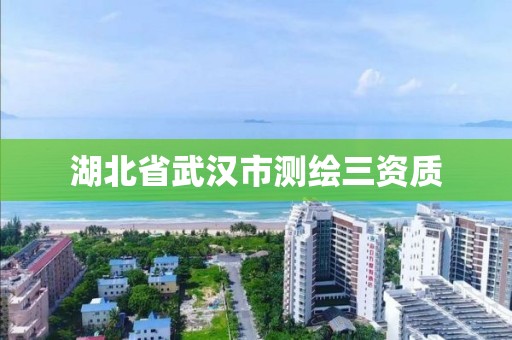 湖北省武汉市测绘三资质