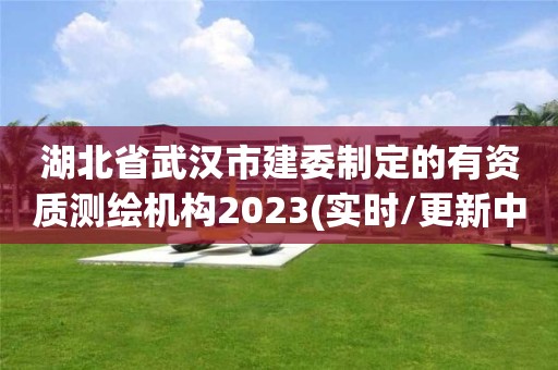 湖北省武汉市建委制定的有资质测绘机构2023(实时/更新中)