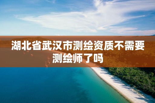 湖北省武汉市测绘资质不需要测绘师了吗