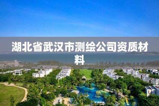 湖北省武汉市测绘公司资质材料