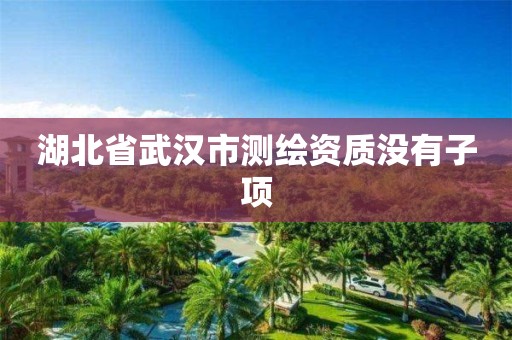 湖北省武汉市测绘资质没有子项