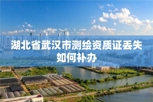 湖北省武汉市测绘资质证丢失如何补办