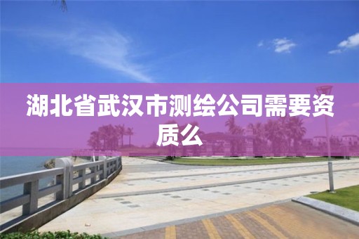 湖北省武汉市测绘公司需要资质么