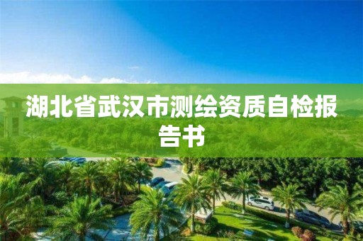 湖北省武汉市测绘资质自检报告书