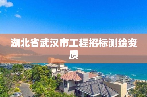 湖北省武汉市工程招标测绘资质