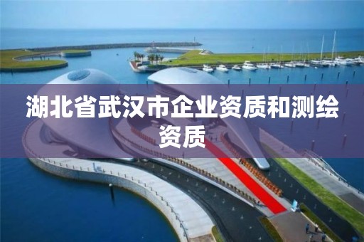 湖北省武汉市企业资质和测绘资质