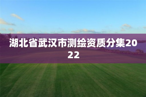 湖北省武汉市测绘资质分集2022