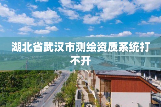 湖北省武汉市测绘资质系统打不开