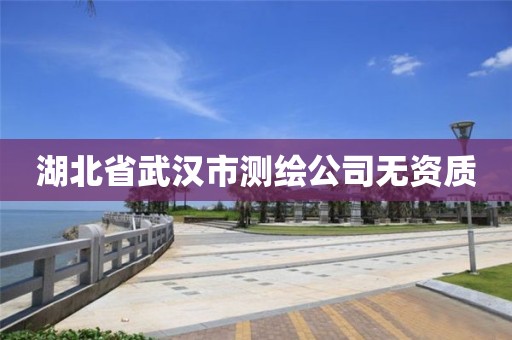 湖北省武汉市测绘公司无资质