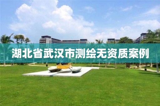 湖北省武汉市测绘无资质案例