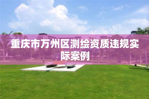 重庆市万州区测绘资质违规实际案例