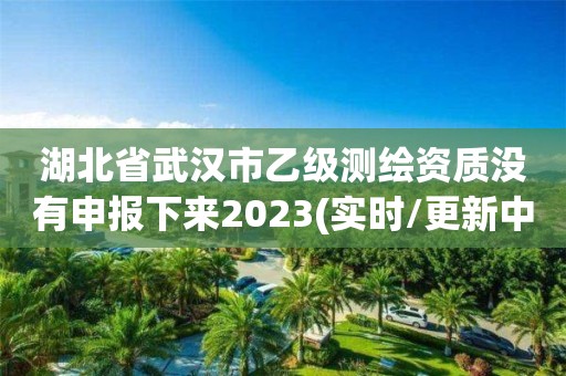 湖北省武汉市乙级测绘资质没有申报下来2023(实时/更新中)