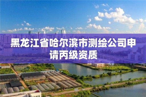 黑龙江省哈尔滨市测绘公司申请丙级资质