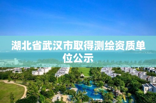 湖北省武汉市取得测绘资质单位公示