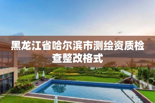 黑龙江省哈尔滨市测绘资质检查整改格式