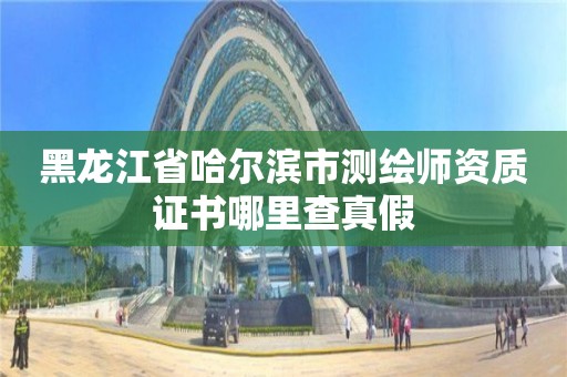 黑龙江省哈尔滨市测绘师资质证书哪里查真假