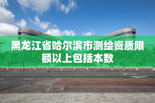 黑龙江省哈尔滨市测绘资质限额以上包括本数