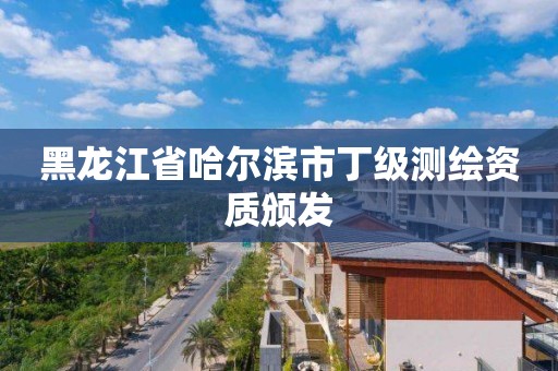 黑龙江省哈尔滨市丁级测绘资质颁发