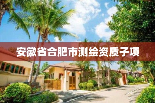 安徽省合肥市测绘资质子项