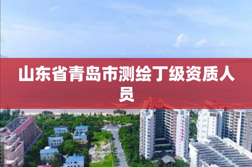 山东省青岛市测绘丁级资质人员