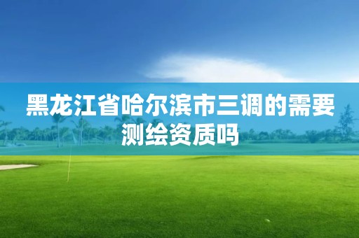 黑龙江省哈尔滨市三调的需要测绘资质吗