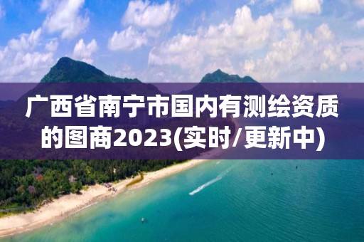 广西省南宁市国内有测绘资质的图商2023(实时/更新中)